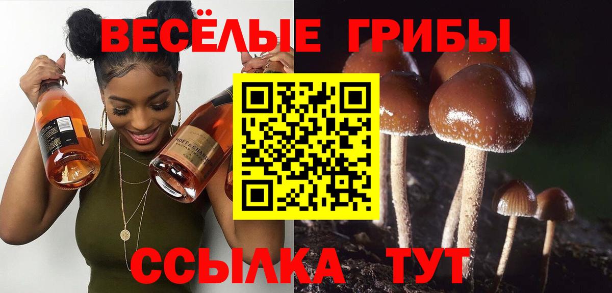 Мытищи  Псилоцибиновые грибы Psilocybine cubensis  Псилоцибиновые грибы мухоморы  Вход с VPN 